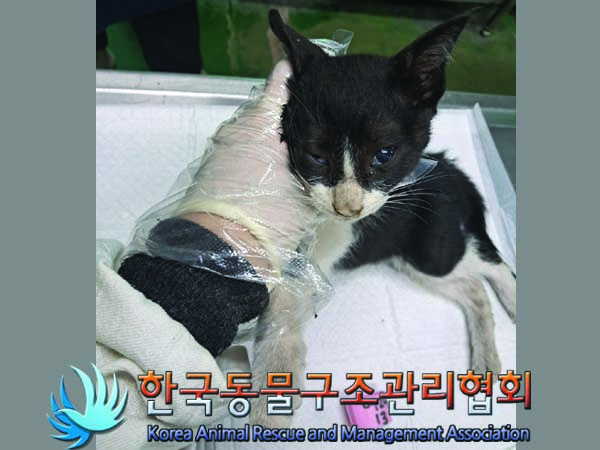 종료(자연사) 한국…